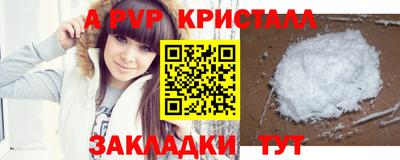 стафф Кинель